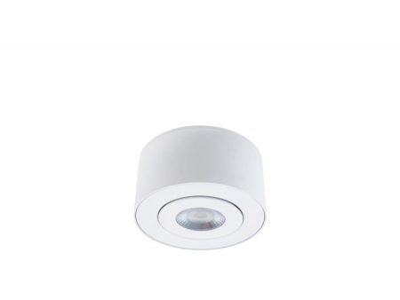 I Spy 5 In. LED Outdoor Flush Mount 3000K White finish Online Hot Sale