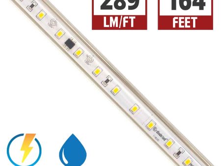 Infiniline Basics 120V LED Strip Light, 164ft Reel, 2700K, 289 Lumens per Ft, IP65 Wet locations Online Sale