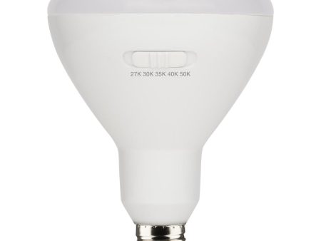 R40 BR40 LED Bulb, 13 Watts, 1075 Lumens, 27K|30K|40K|50K, E26 Base, 100° Flood Fashion