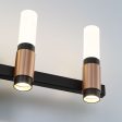 Albany 10 Lights 20 in. LED Vanity Light Black & Brass Finish Discount