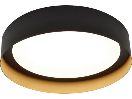 Reveal 16 in. LED Flush Mount Light 120V Black & Gold Finish Online now