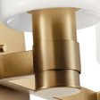 Adani 30 In 4-Lights Bathroom Vanity Light With Opal Glass, Bronze Finish Online now