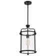 Yorktown 10 in. Pendant Light Matte Black Finish Sale