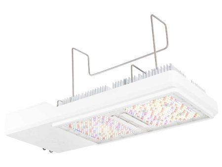 Gavita CT1930e, LED Grow Light, 120-277V Cheap