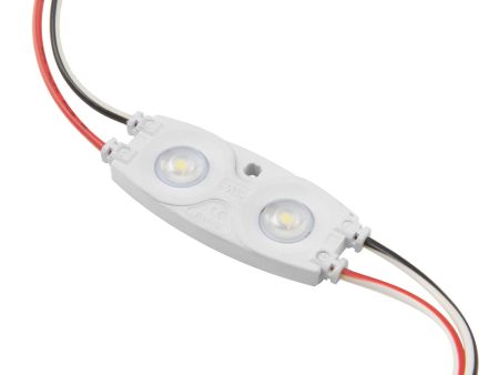 PURALIGHT 2, DUOBRIGHT Wide Beam LED Light Module,12V, 11000K, 40 Module Strand Discount