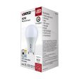 Dimmable A19 LED Bulb, 9 Watts, 800 Lumens, 2700K to 5000K, 60W Equal, GU24 Base Fashion