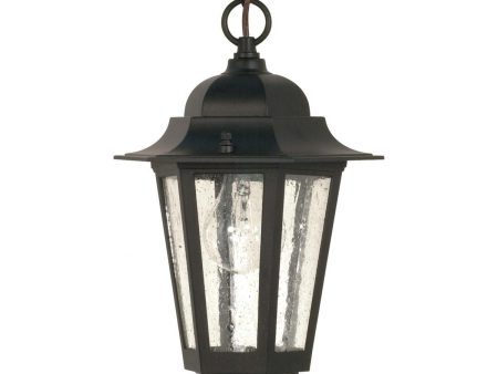 Cornerstone 13 In. Outdoor Hanging Lantern Black finish For Discount