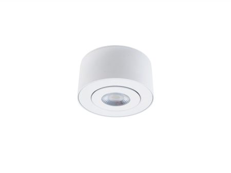 I Spy 5 In. LED Outdoor Flush Mount 4000K White finish Supply