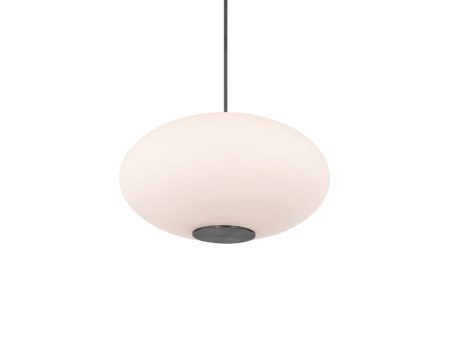 Illusion 22 in. LED Pendant Light 2700K Black finish Online Sale