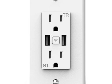 LUXcontrol 15 Amp Smart Wi-Fi Outlet with USB-A Outlet Tamper-Resistant White Online now