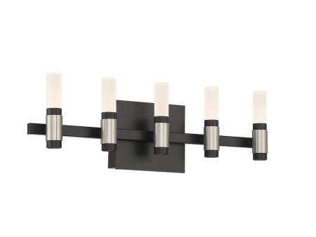 Albany 10 Lights 20 in. LED Vanity Light Black & Nickel Finish Online Sale