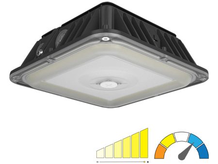 LED Canopy Light, 4500 Lumens, 30 Watts, 30K 40K 50K, 120-277V, Vandal Proof, Bronze Finish Hot on Sale