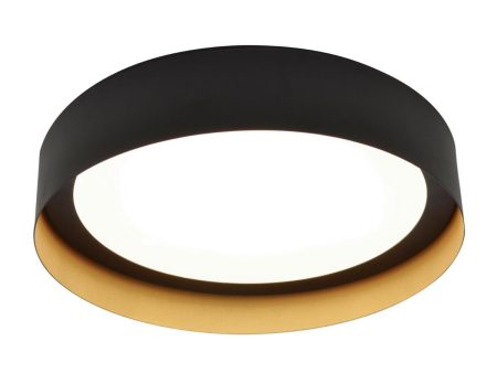 Reveal 16 in. LED Flush Mount Light 120-277V Black & Gold Finish For Cheap