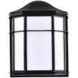 10 In. LED Outdoor Wall Lantern Black finish Online Hot Sale