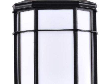 10 In. LED Outdoor Wall Lantern Black finish Online Hot Sale