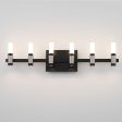 Albany 12 Lights 27 in. LED Vanity Light Black & Nickel Finish Sale