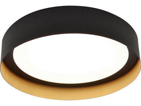 Reveal 12 in. LED Flush Mount Light 120V Black & Gold Finish Fashion