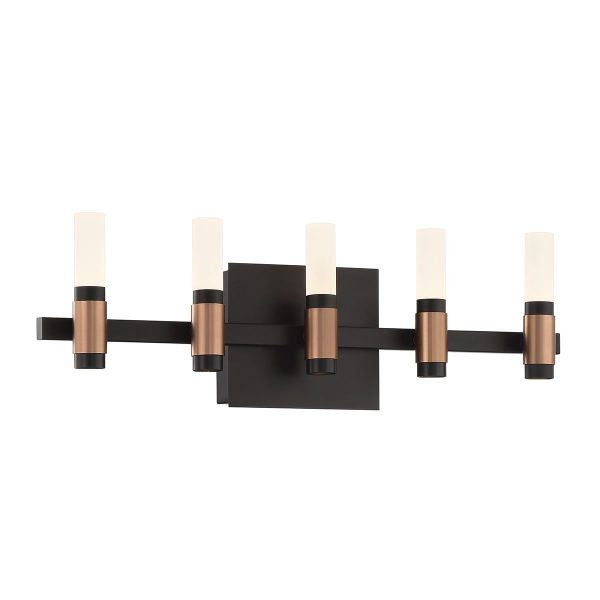 Albany 10 Lights 20 in. LED Vanity Light Black & Brass Finish Discount