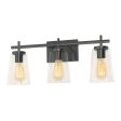 Joanna 23 in. 3 Lights Vanity Light Black Finish Clear Shade Discount