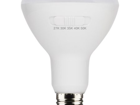 R30 BR30 LED Bulb, 9 Watts, 700 Lumens, 27K|30K|40K|50K, E26 Base, 100° Flood, 6 Pack Online