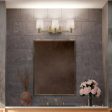 Adani 24 In 3-Lights Bathroom Vanity Light With Opal Glass, Bronze Finish Online now