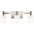 Adani 24 In 3-Lights Bathroom Vanity Light With Opal Glass, Polished Nickel Finish on Sale