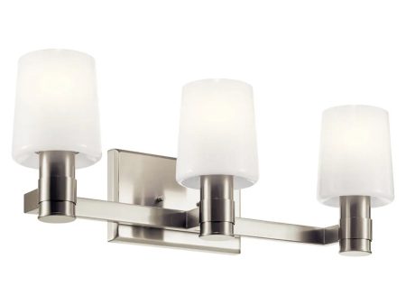 Adani 24 In 3-Lights Bathroom Vanity Light With Opal Glass, Brushed Nickel Finish Online now